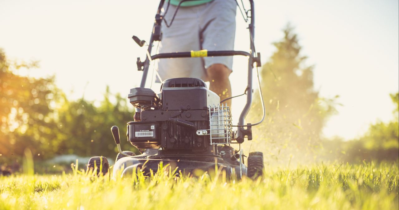 What is a Good Lawn Care Schedule?