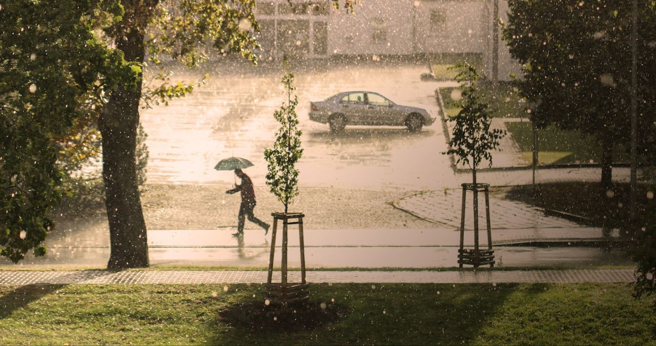 How do You Prepare a Yard for Heavy Rain?