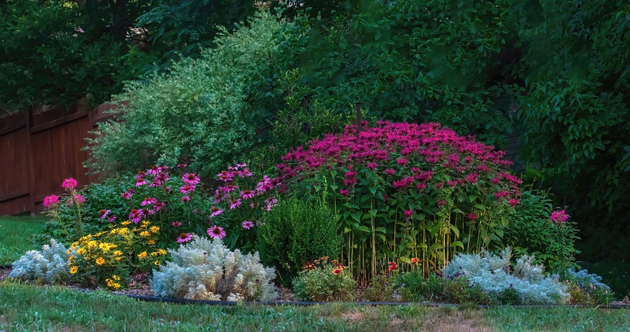 How to Create a Pollinator-Friendly Garden in Nebraska