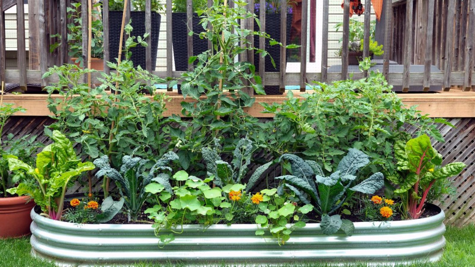 Seasonal Pest Deterrence: Eco-Friendly Landscaping to Keep Critters Away