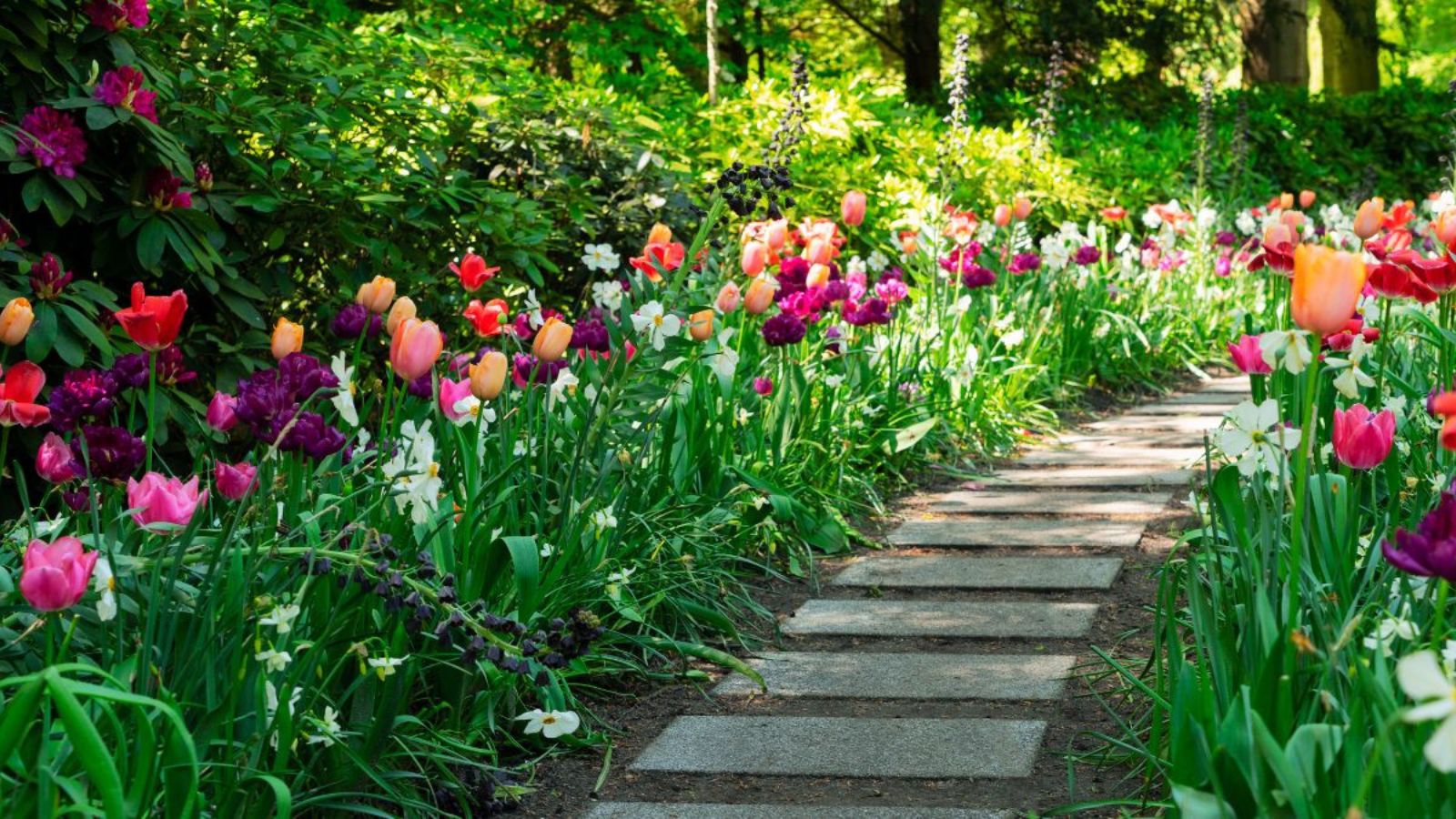 How Freeze-Thaw Cycles Impact Hardscape Longevity: Practical Insights for Durable Pavements